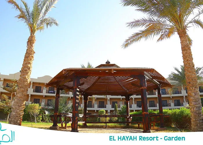 El Hayah - Families Only Ajn-Szuhna